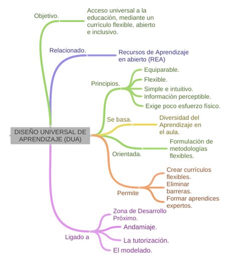 DiseÑo Universal De Aprendizaje Dua Coggle Diagram