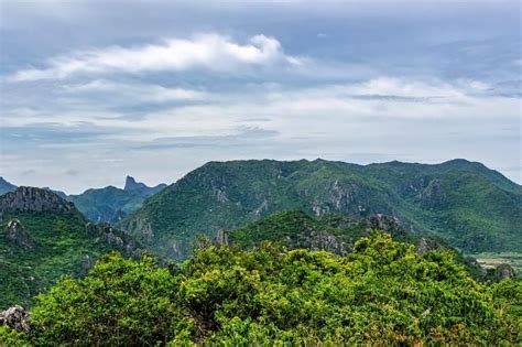 Bosque Subtropical Caracter Sticas Flora Fauna Y Temperatura