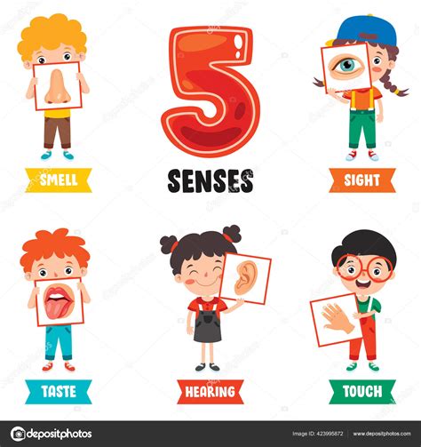 Five Senses Concept Human Organs Stock Vector Image By ©yusufdemirci