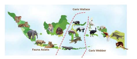 Rangkuman Materi IPA Kelas 7 Kurikulum Merdeka Bab 6 Ekologi dan ...