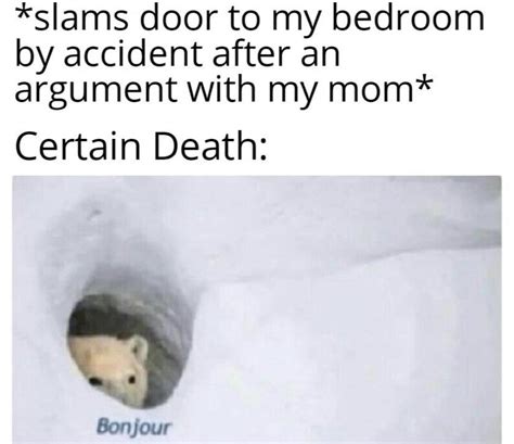 Did you just slam the door? : r/memes