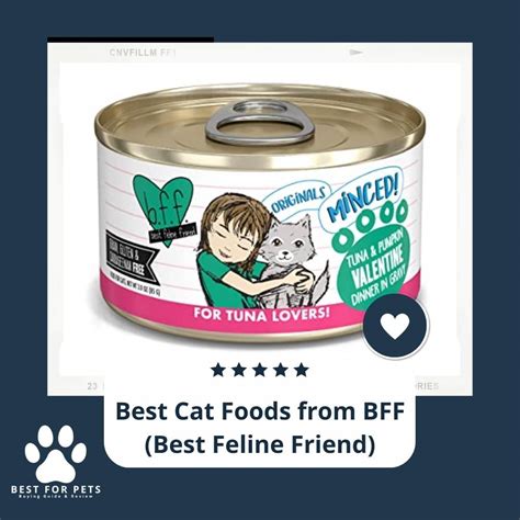 11 Best Cat Foods From Bff Best Feline Friend In 2022