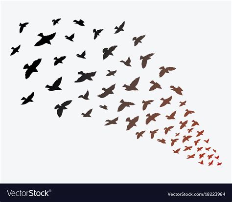 Silhouette Of A Flock Of Birds Black Contours Vector Image