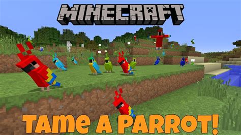 How To Tame A Parrot In Minecraft 1 12 MCPE YouTube