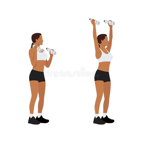 Dumbbell Shoulder Press Stock Illustrations 167 Dumbbell Shoulder Press Stock Illustrations