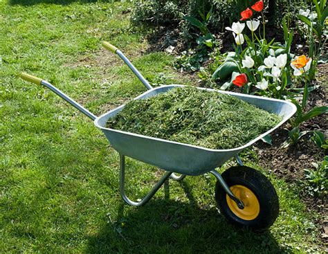 Mulch Wheelbarrow Stock Photos Pictures And Royalty Free Images Istock