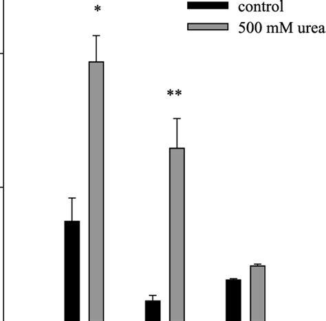 Urea Stimulates 86 Rb Influx In Human Red Cells Suspended In Hypertonic