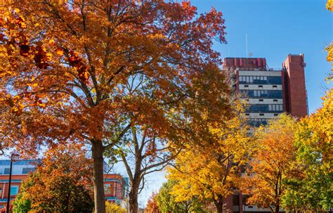 University Publishes Fall Deans List Suny New Paltz News