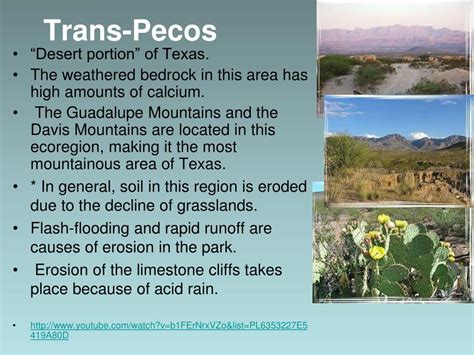 Ppt Texas Ecoregions Powerpoint Presentation Free Download Id2702560