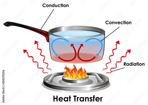 Diagram showing how heat transfer Stock Vector | Adobe Stock