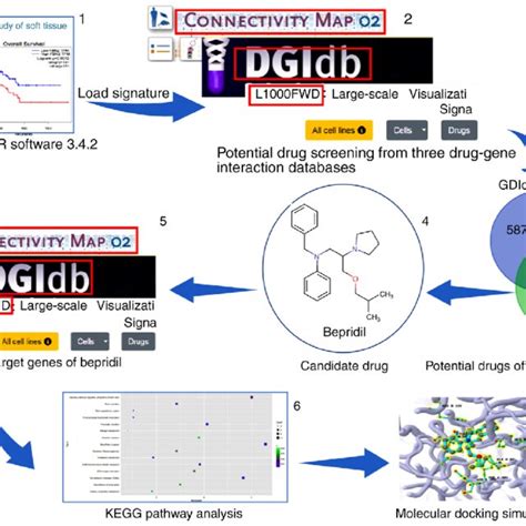 Venn Diagram Depicting Potential Drugs In The CMap DGIdb And L1000 FWD