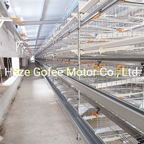 Hot Sale Automatic Laying Henegg Layer Battery H Type Chicken Cages