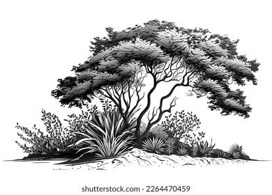 black white pencil drawing bush stock illustration