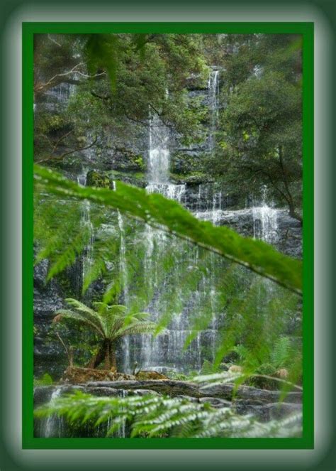 Russell Falls Tasmania Tasmania Travel Aquarium