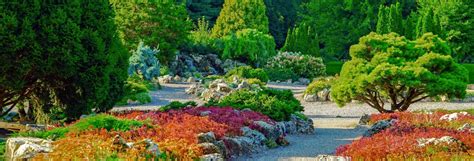 Car Rental Minneapolis Airport (MSP) | Hertz Rent a Car