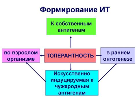 Иммунологическая толерантность. Иммунопатология - презентация онлайн