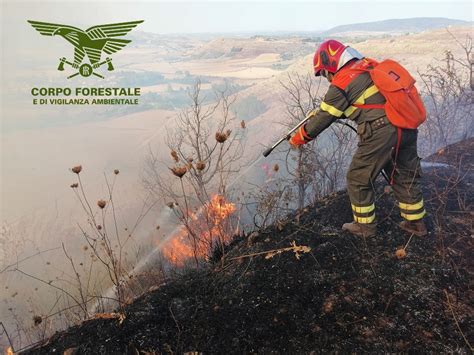 Un Elicottero Del Corpo Forestale Proveniente Dalla Base Di Marganai