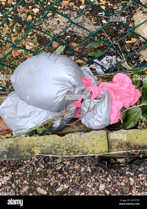 Pink Plasic Bag Hi Res Stock Photography And Images Alamy