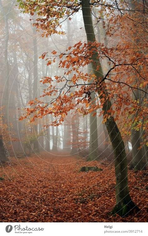 Bank In Einem Park Im Herbst Ein Lizenzfreies Stock Foto Von Photocase