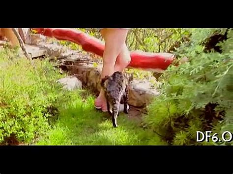 Igualmente Virginal Para Ser Follada Xvideos