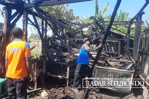 Gudang Kayu Karang Asem Terbakar Pemilik Rugi Jutaan Radar Banyuwangi