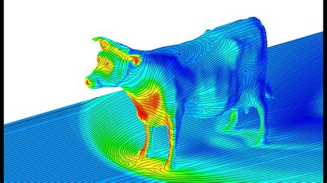 La Aerodin Mica De Una Vaca Youtube