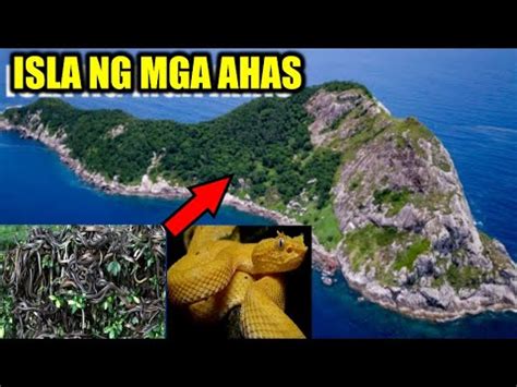 Isla Na Pinaka Maraming Ahas Sa Buong Mundo Youtube