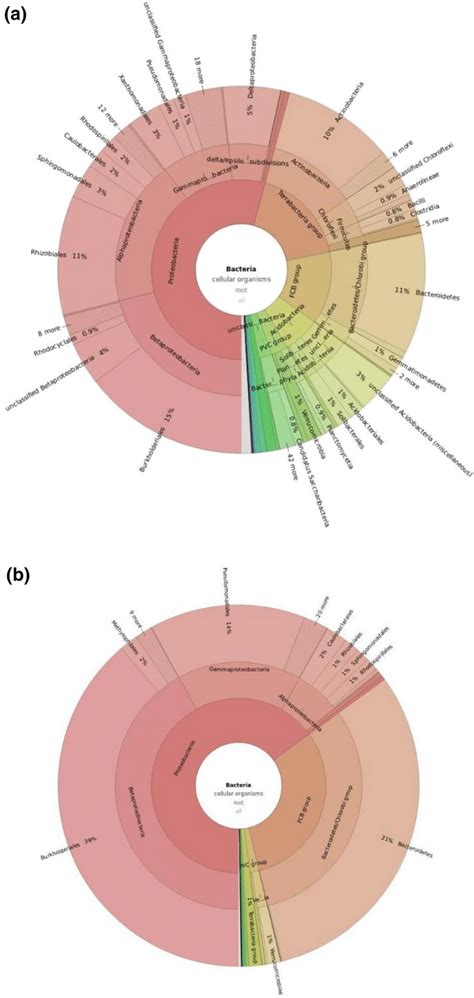 A The Krona Graph Showing The Relative Abundance Of Annotated Taxa In