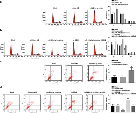 Upregulation Of Mir C P Restricts Cell Cycle Progression And