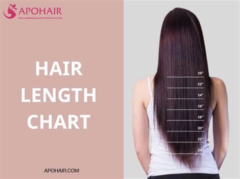 Are You Struggling To Determine The Ideal Hair Length That Complements