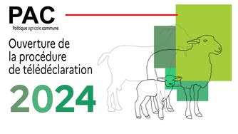 Aides de la PAC 2024 et conditions d élégibilité Politique agricole