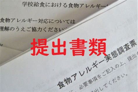 【事例】食物アレルギー緊急時マニュアルを学校で作成！給食の誤食対応・エピペン使用時に備えて ゆきまる生活