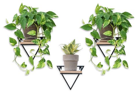 Hanging Flowerbed Metal Plant Stand Hanging Wall Planter Etsy