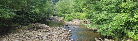 South Toe River Loop Trail North Carolina 385 Reviews Map Alltrails