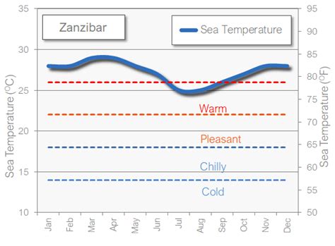 Zanzibar In August The Weather And Best Activities For Your Holiday