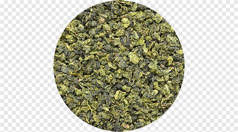 Green Tea Hibiscus Tea Herbal Tea Oolong Western Recipes Food Tea