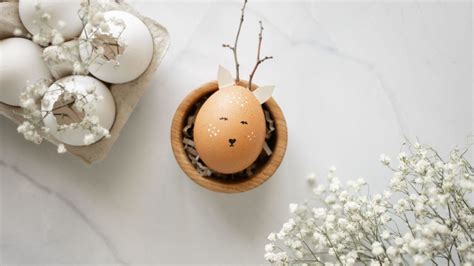 Eggshells For Indoor Plants : The Ultimate Guide