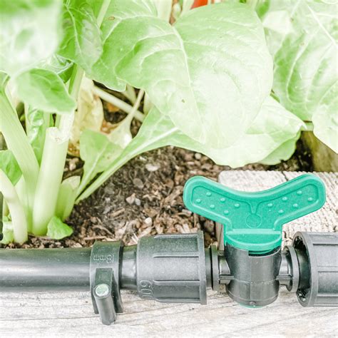 How to Install Drip Irrigation in Raised Garden Beds - Roots & Boots