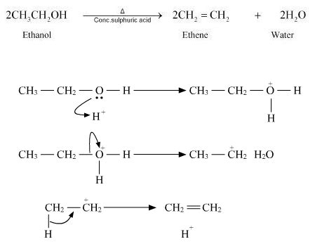 Write the mechanism of acid dehydration of ethanol toppr.com