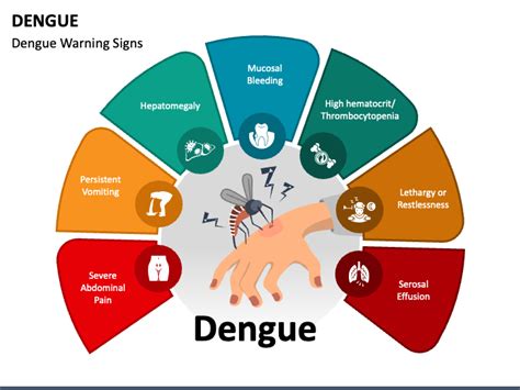 Navigating Dengue Fever Understanding Its Stages Of Infection