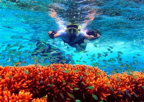 Dapatkan Pengalaman Wisata Tak Terlupakan Snorkeling Di Menjangan Dan