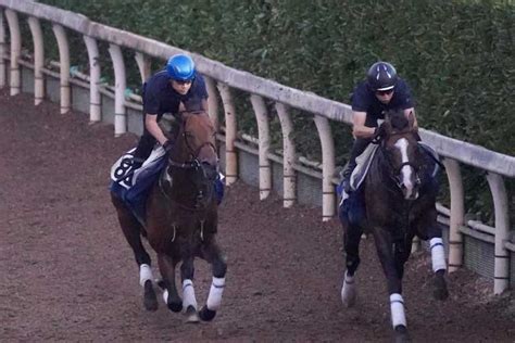 【cbc賞】キタノエクスプレス3連勝へ好感触 国分優作騎手が跨がり2馬身先着 サンスポzbat