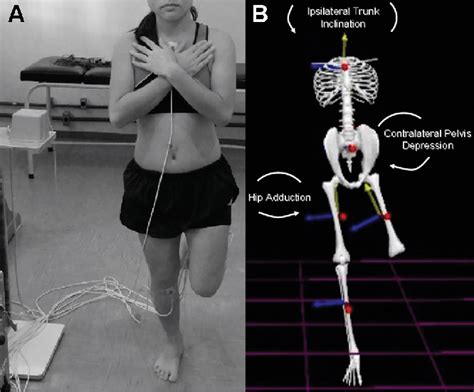 Figure 1 From Evaluating Eccentric Hip Torque And Trunk Endurance As