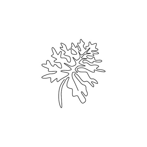 Premium Vector Single Continuous Line Drawing Tropical Leaf Plant