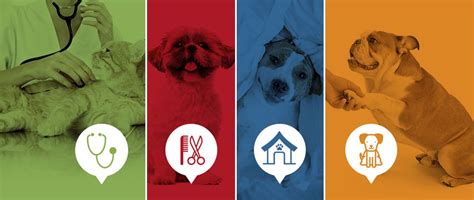 The Animal Hospital Of Roxbury Ledgewood Nj