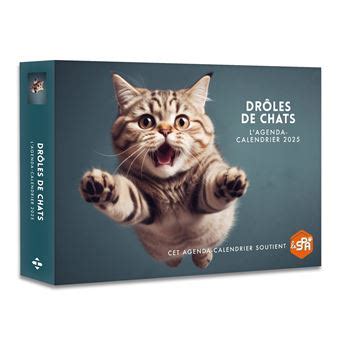 Agenda Calendrier Drôles de chats 2025 Collectif Achat Livre fnac