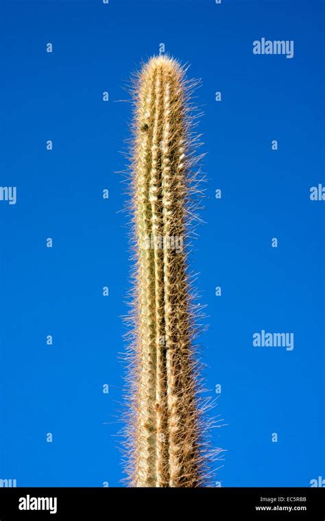 Letter column hi-res stock photography and images - Alamy