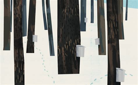 How To Tap Trees For Syrup Modern Farmer