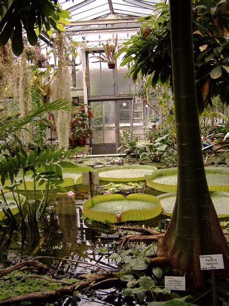 Botanischer Garten G Ttingen