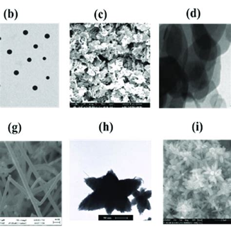 ZnO morphologies: (a) nanorods (Reprinted with permission from Ref ...